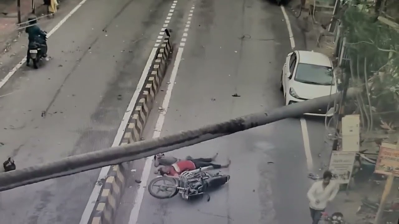 影／棕櫚樹突倒下！砸中路過雙載機車　印度2男當場死亡