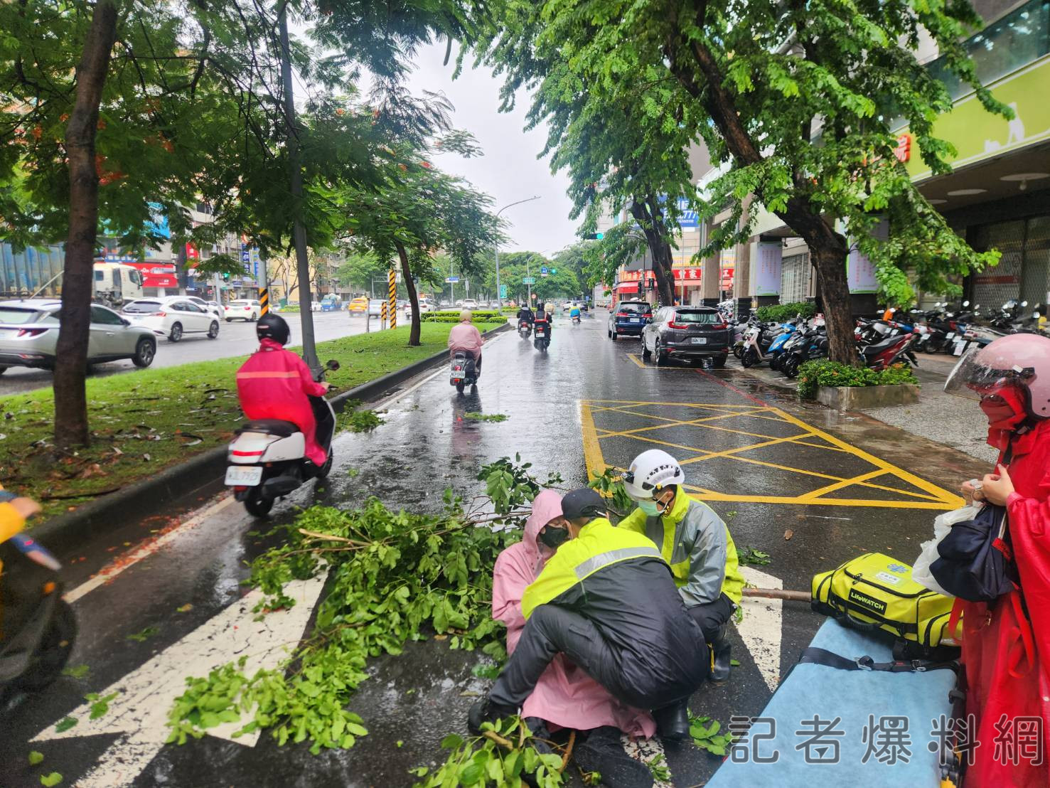 ▲高雄鼓山中華一路今（9）日上午2名機車騎士遭斷落樹枝擊落。（圖／記者金東天翻攝，下同）