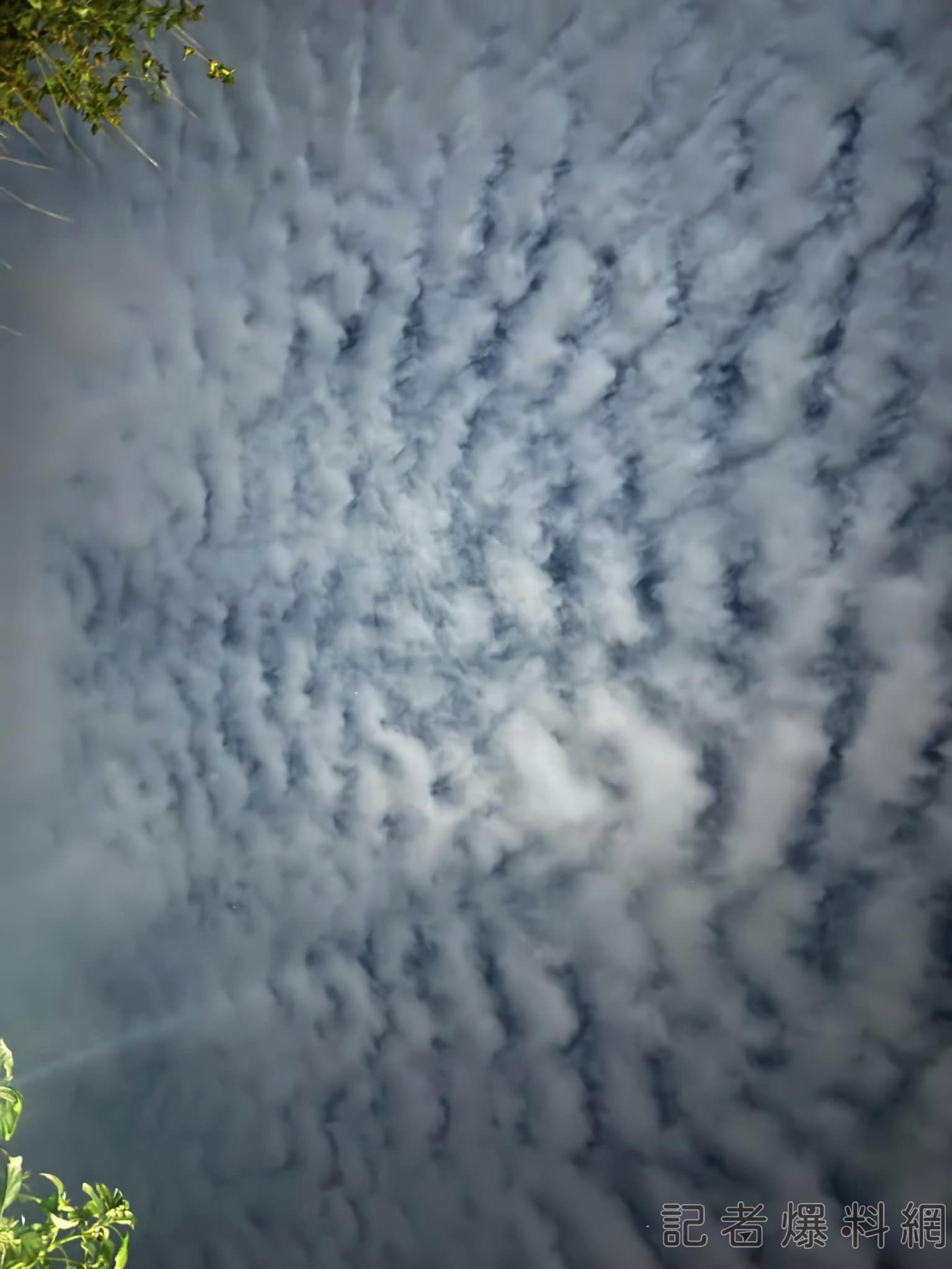 宜花接力震！台中海線驚見「地震雲」? 網驚「不能裸睡」怕跑不了