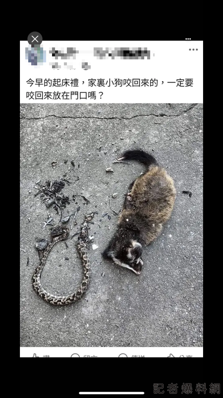 保育動物 起床禮 動保法