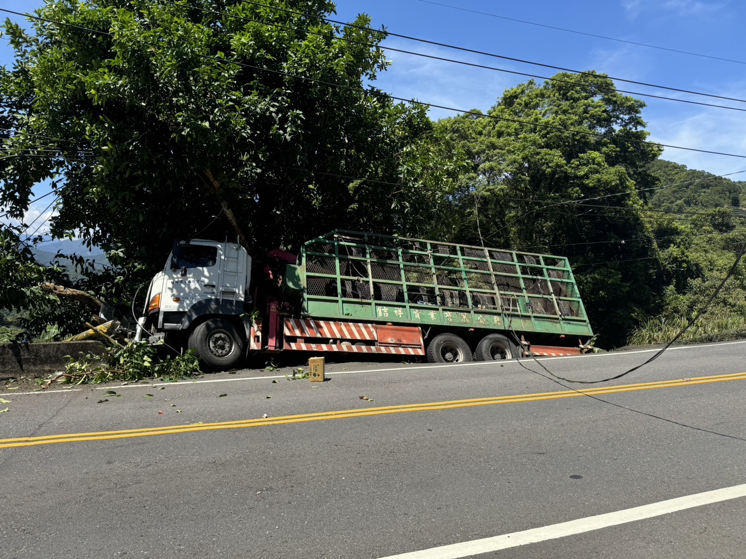 ▲新店區北宜公路稍早傳出1起交通事故，大貨車失控自撞護欄衝出馬路。（翻攝畫面）