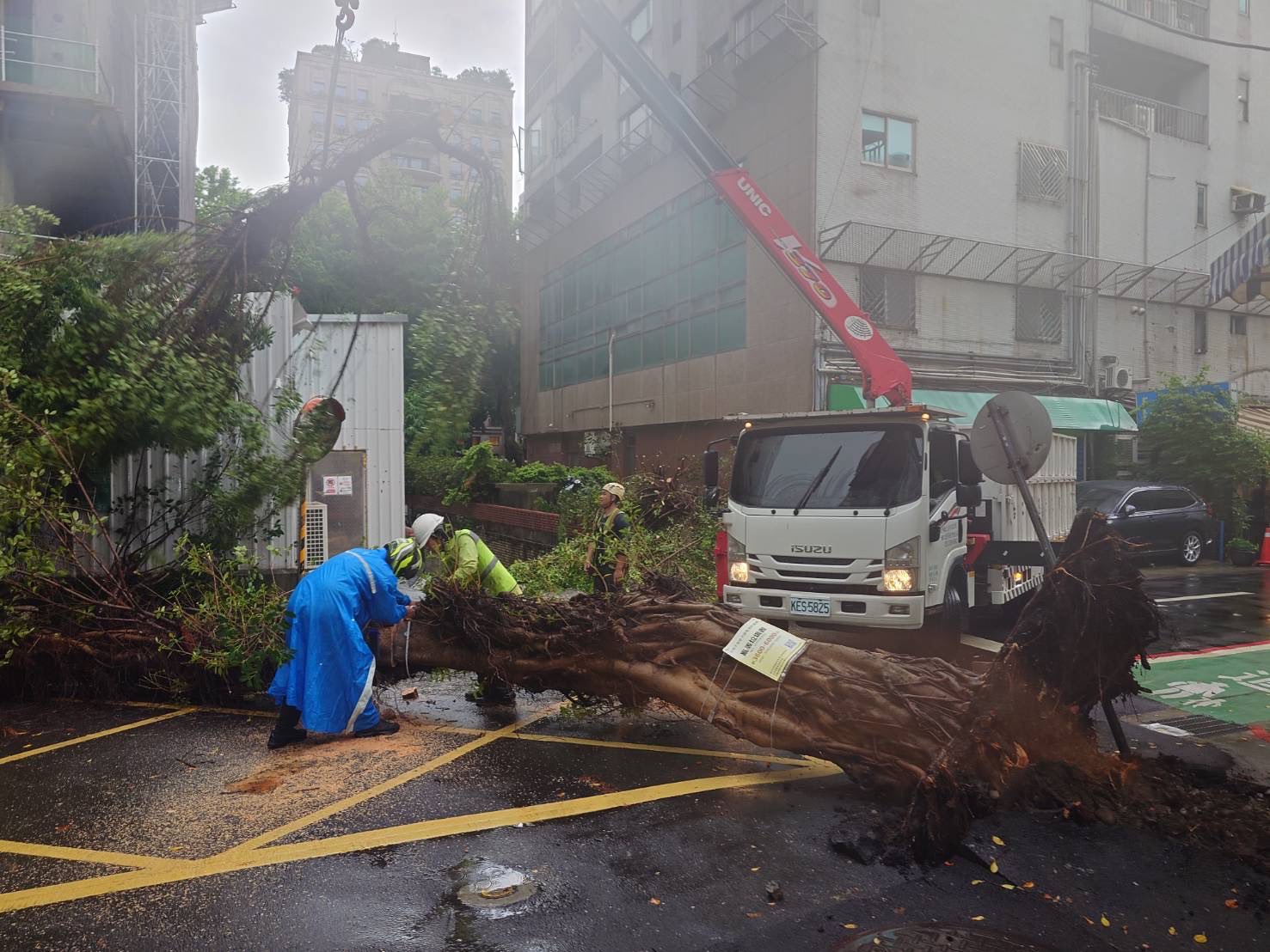 ▲雷雨彈襲雙北！大安區四維22巷傳有路樹倒塌。（翻攝畫面）