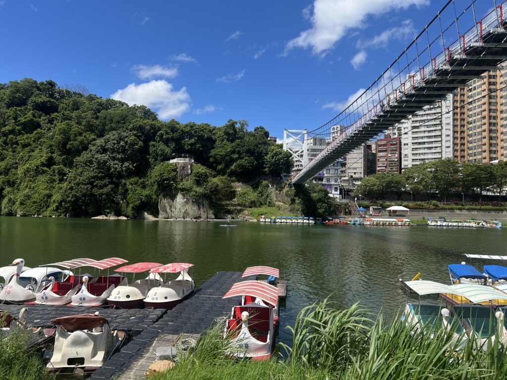 快訊／婦人碧潭風景區落水失去意識　送醫搶救撿回一命