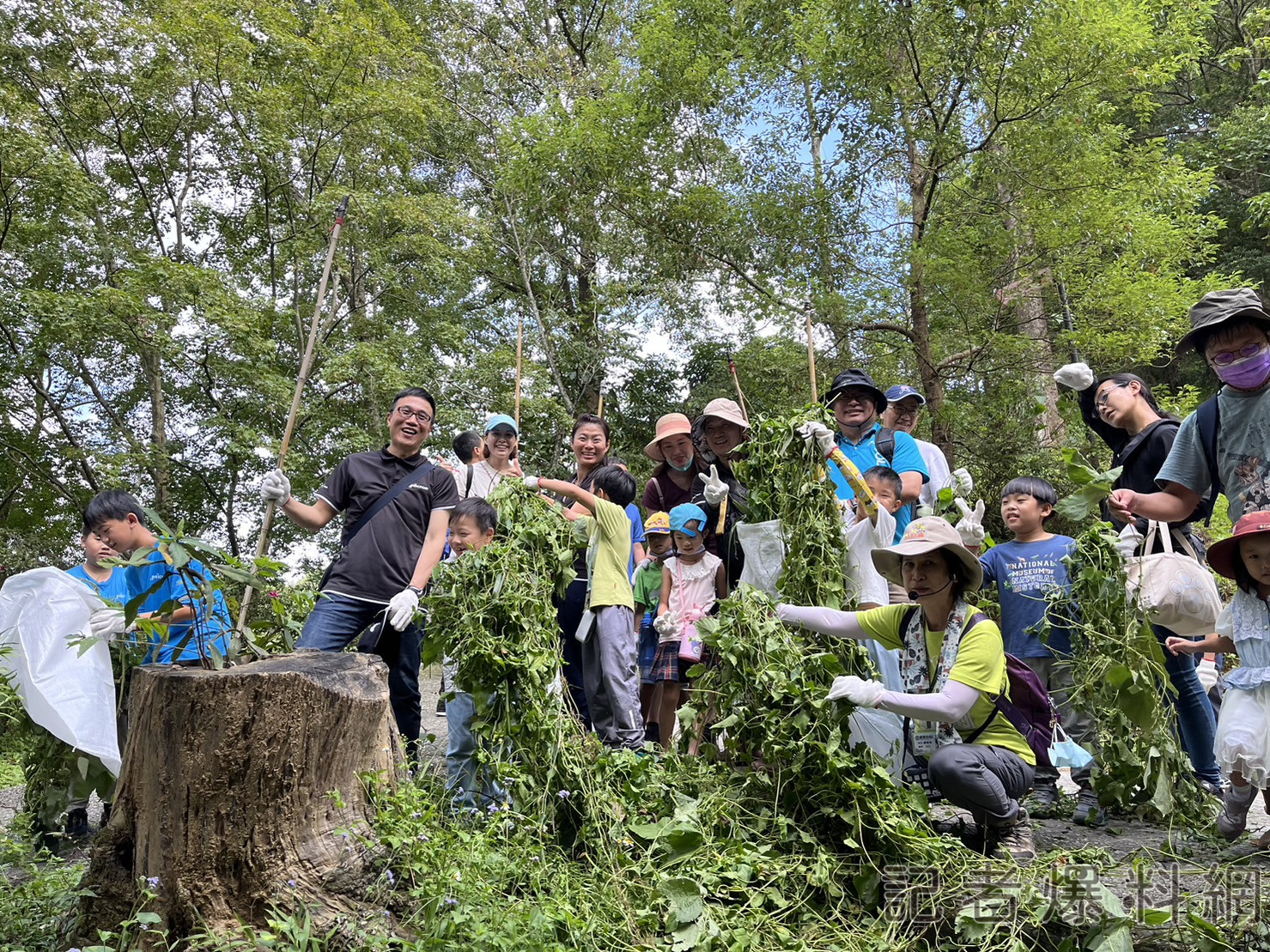 公私協力移除200公斤小花蔓澤蘭 「綠癌」化身天然環保防蚊香錐