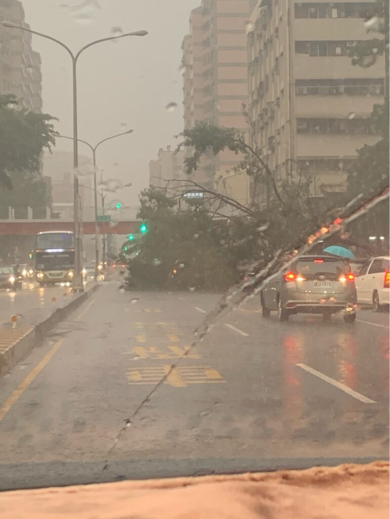 台中市傍晚暴雨路樹倒塌　砸3車無人傷