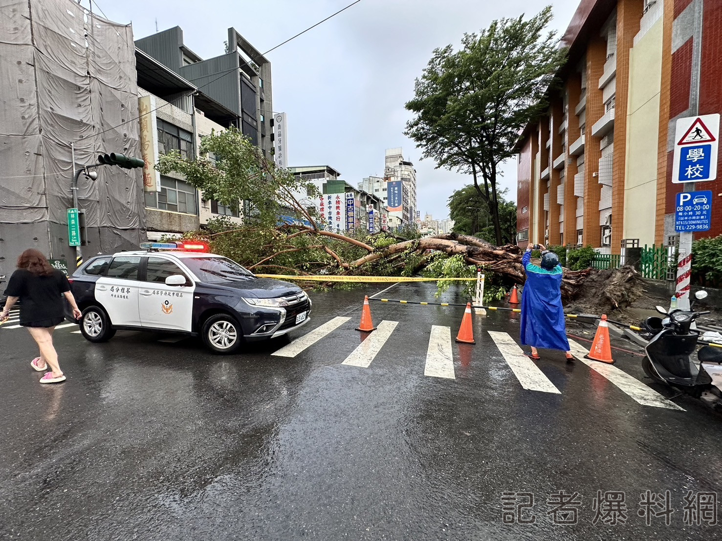 大雨釀災! 路樹倒塌砸中停紅燈轎車 車上四人自行脫困 一人不適送醫