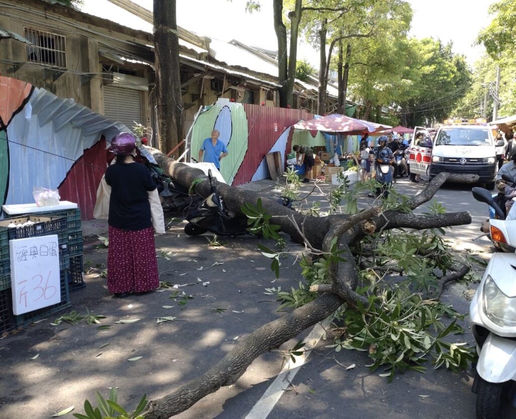 2024 09 17 087582 | 社會 社會 記者爆料網｜新聞｜即時新聞