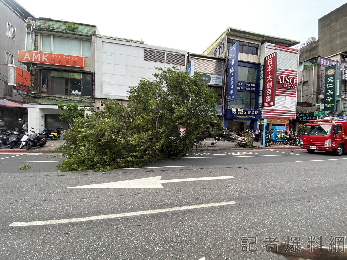 影/山陀兒來襲！士林路樹倒塌 61歲婦路過遭砸傷