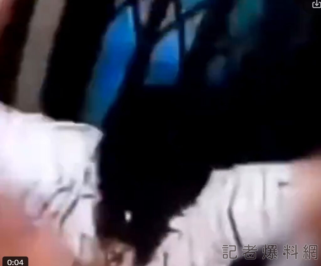 影/奪命電梯!巴西45歲婦搭大樓電梯疑故障 管理員夫目睹妻高速下墜傷重不治 2 2024 10 12 974710 17286891370412x | 國際 國際 記者爆料網|新聞|即時新聞