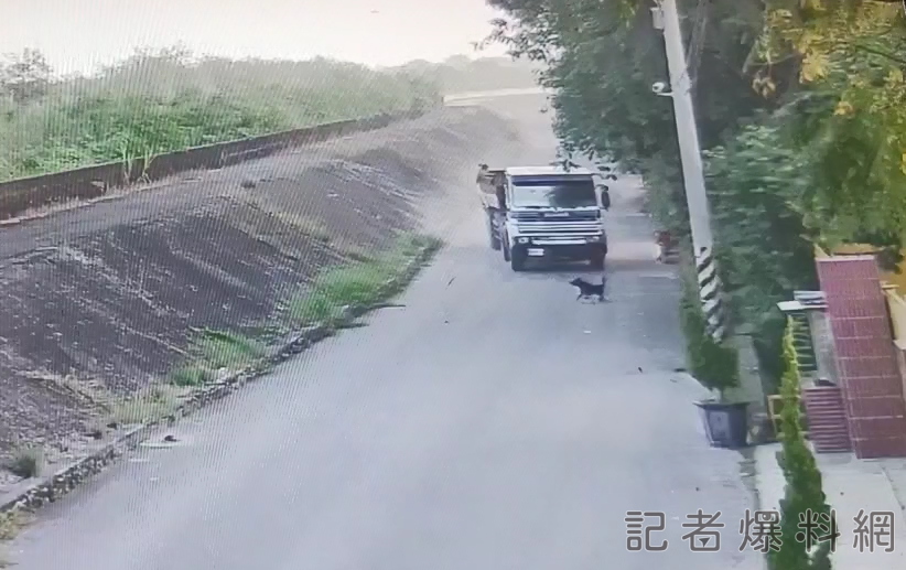 砂石車 殺狗