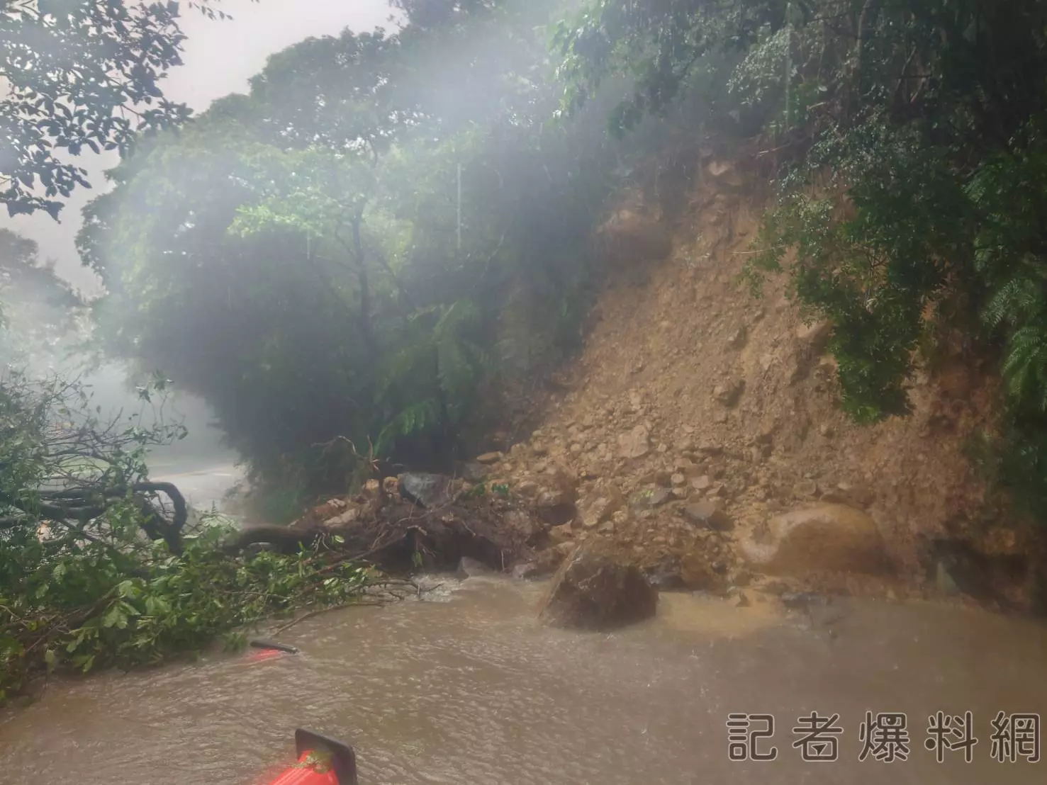 圖片來源 陽明山國家公園 臉書