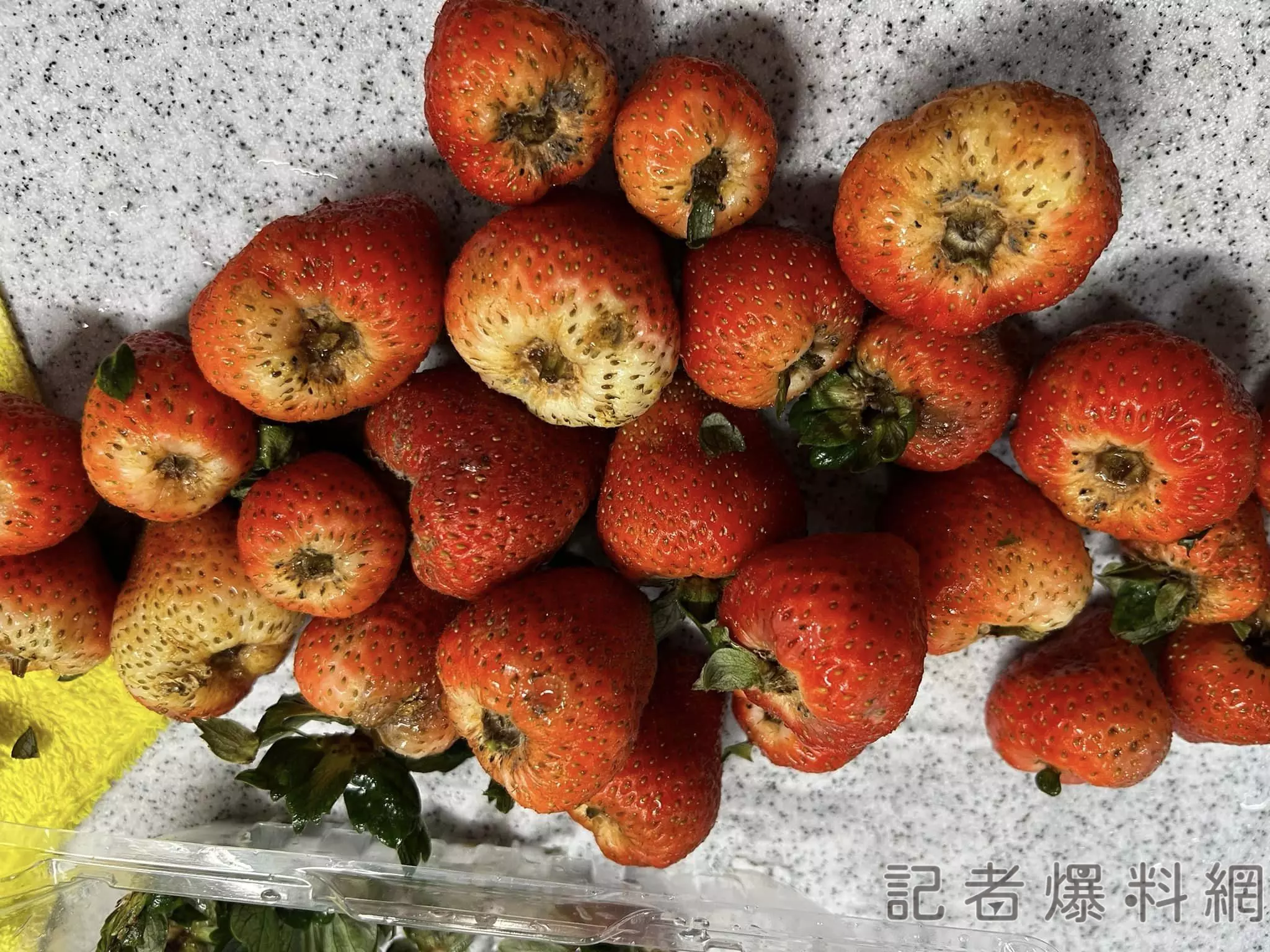 好市多 草莓 發霉