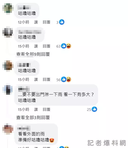 圖片翻攝 王惠美 臉書