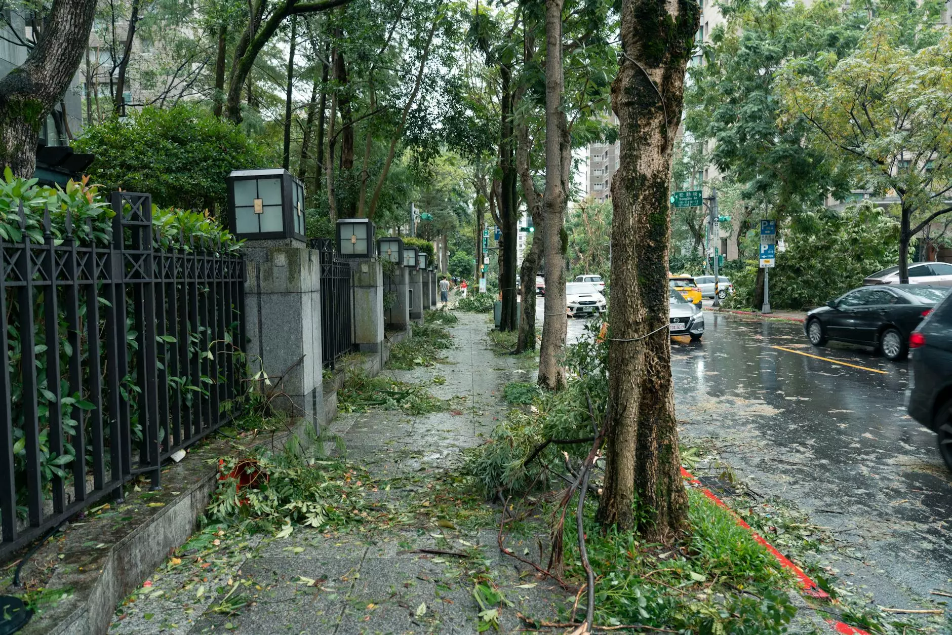 storm damage in taipei city street after typhoon