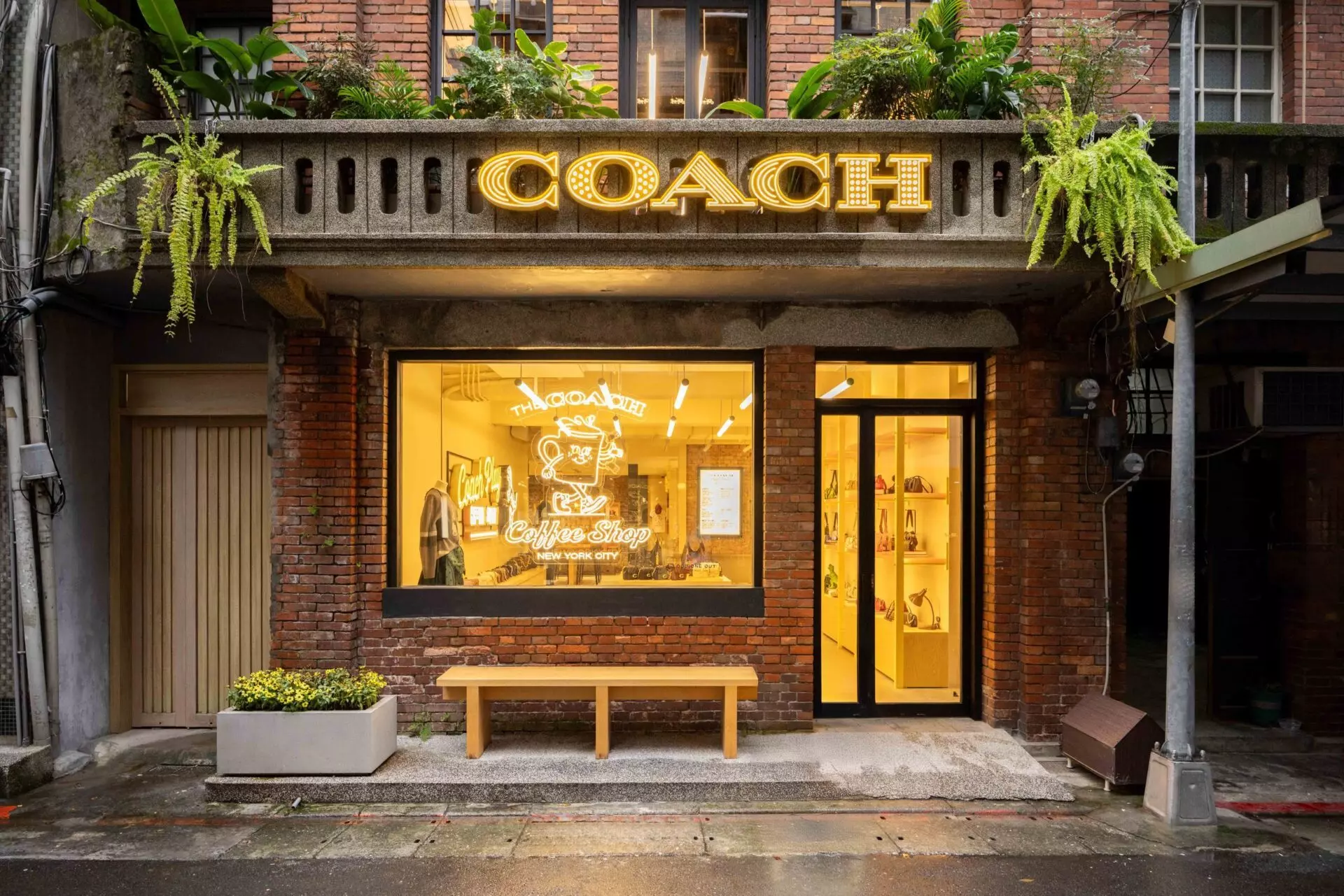 ▲Coache概念店（圖／品牌提供）