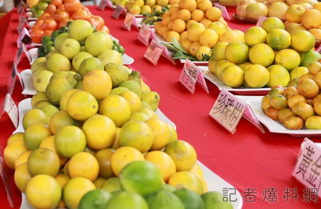柑橘嘉年華！ 南投中寮鄉柳橙節登場