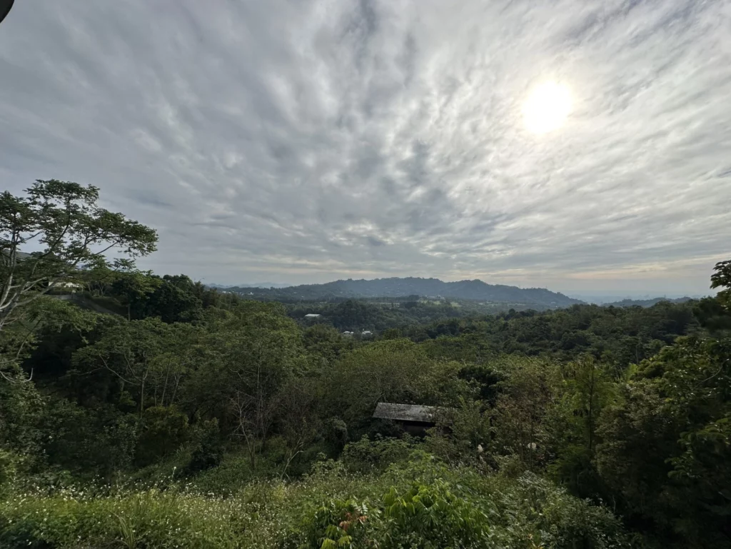 精湛建設近期進駐頭嵙山，吸引企業主青睞。王鈞生攝