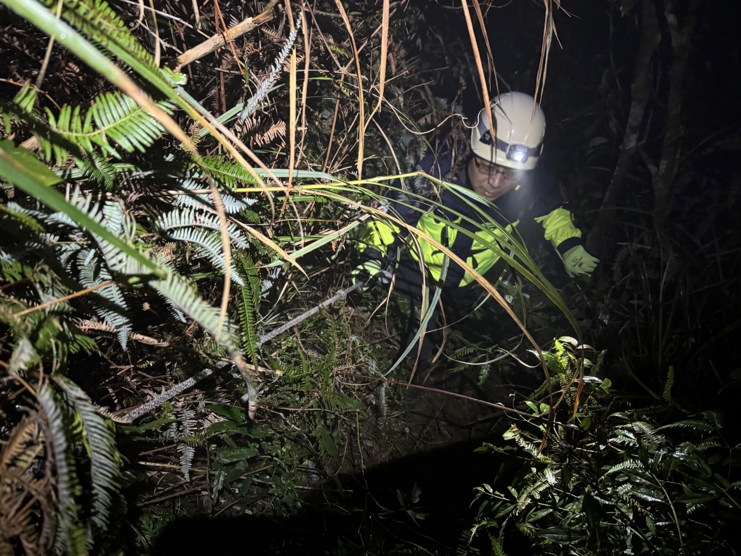 ▲新北市一對馬姓父子跑到烏來登山卻迷路失聯，新北、宜蘭搜救隊兩地連線入山救援。（翻攝畫面）